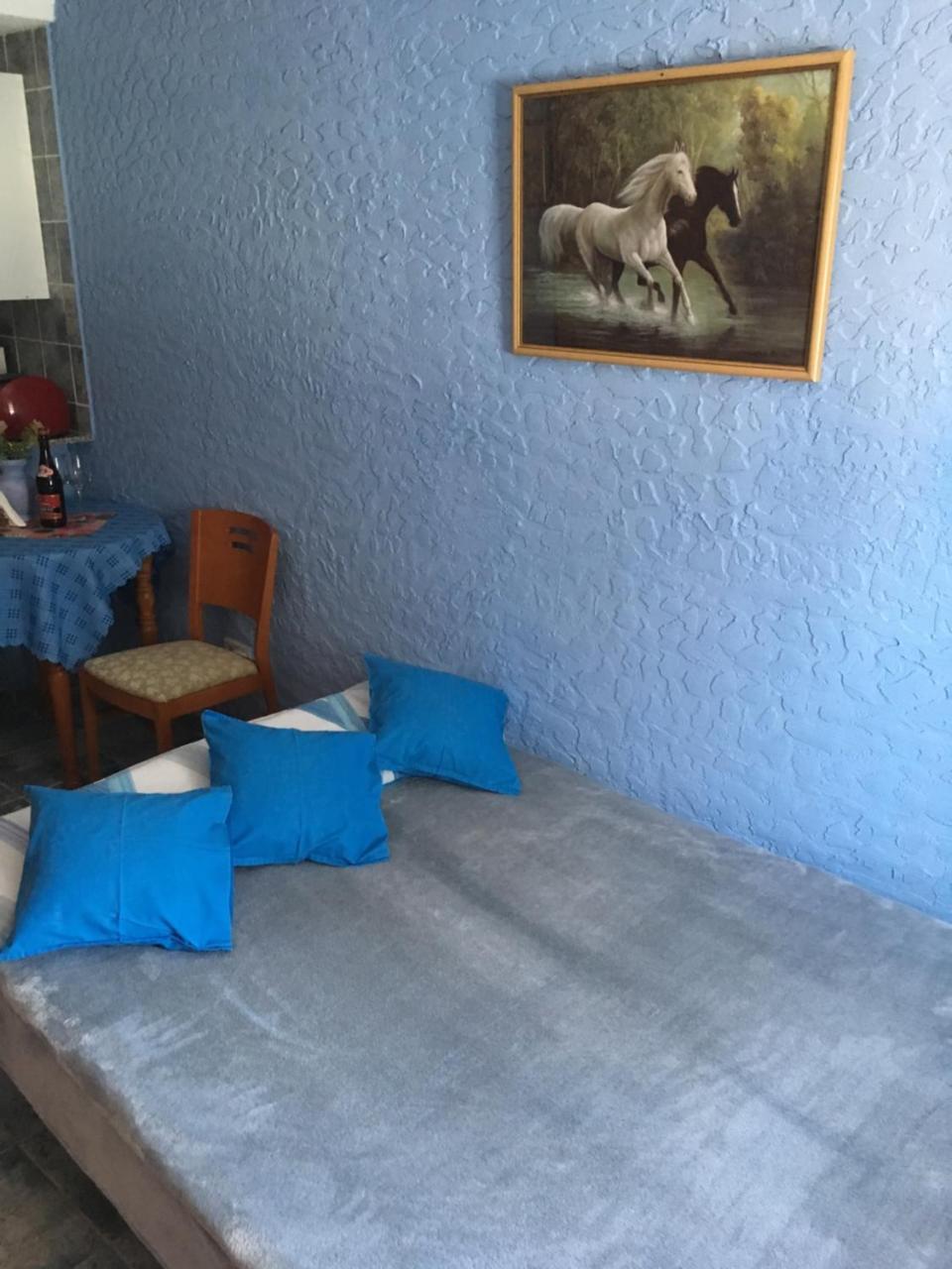 Denia Playa II Daire Dış mekan fotoğraf